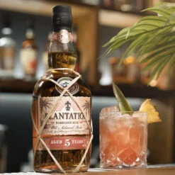 Plantation Rum Barbados 5 Jahre Grand Terroir 40% 0,7l -KISS Verkäufe 10253 plantation rum barbados 5 jahre grand terroir 40 0 7l mood 3 c31f