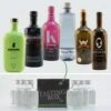 Gin Tasting Set: Einstieg Box Nr. 3 6x0,02l -KISS Verkäufe 304153 Product eb84