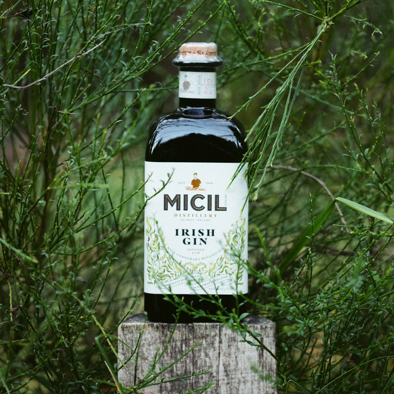 Micil Irish Gin 44% 0,7l 4 Micil Irish Gin 44% 0,7l – Bild 2