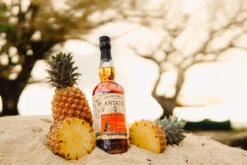 Plantation Rum Pineapple Stiggins Fancy 40% 0,7l -KISS Verkäufe stiggins beach v2 19 scaled 1