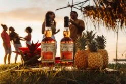 Plantation Rum Pineapple Stiggins Fancy 40% 0,7l -KISS Verkäufe stiggins sunset party websize 8 scaled 1